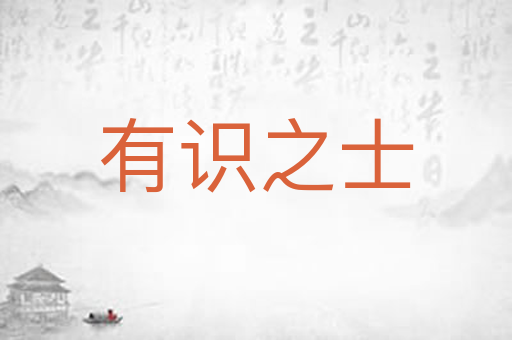 有识之士