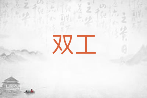 双工