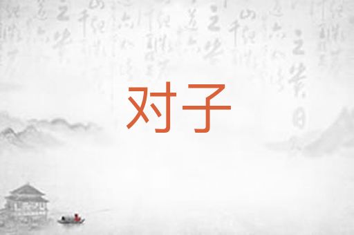 对子