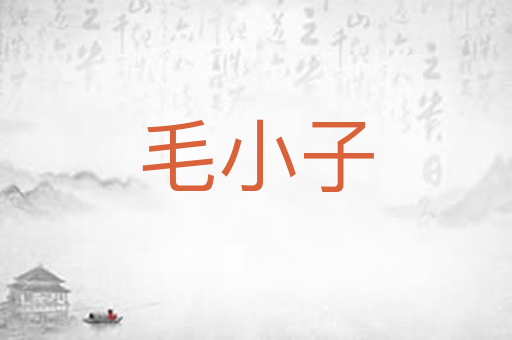 毛小子