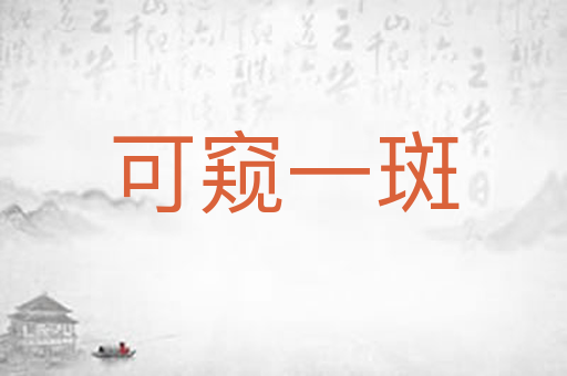 可窥一斑