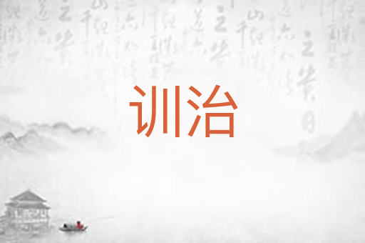 训治