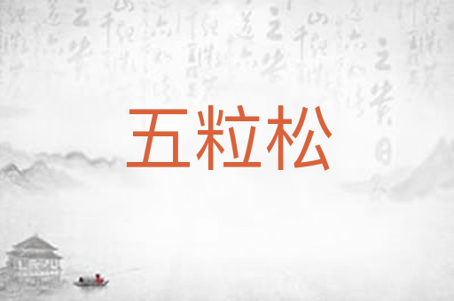 五粒松