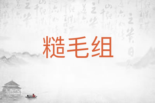 糙毛组