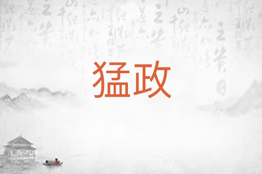 猛政