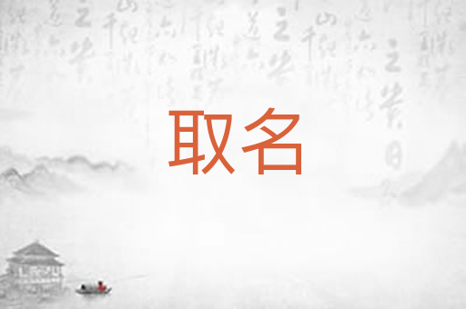 取名