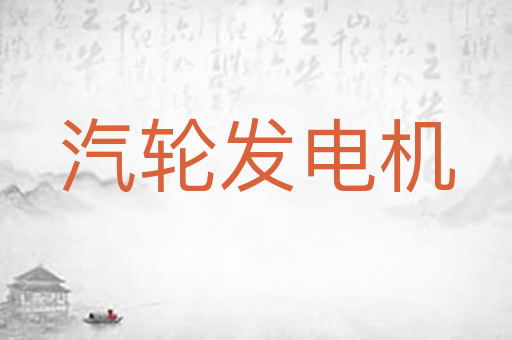 汽轮发电机