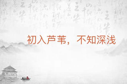 初入芦苇,不知深浅