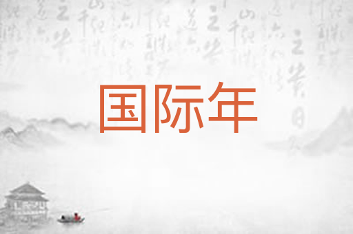 国际年
