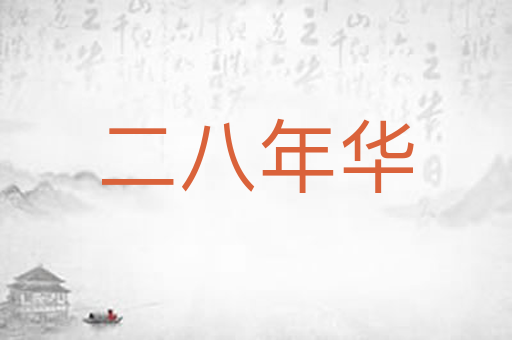 二八年华