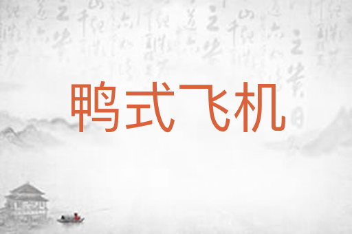 鸭式飞机