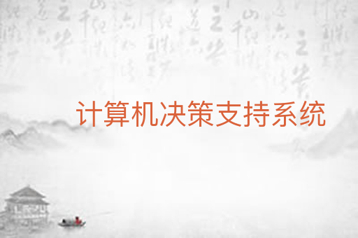 计算机决策支持系统