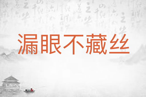 漏眼不藏丝