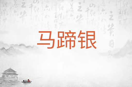马蹄银