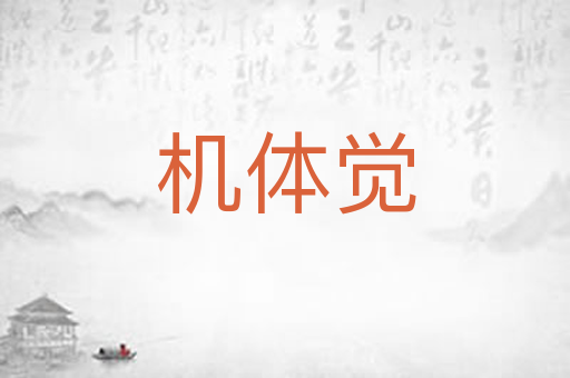 机体觉