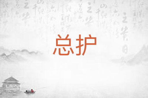 总护