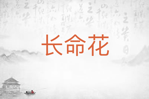 长命花