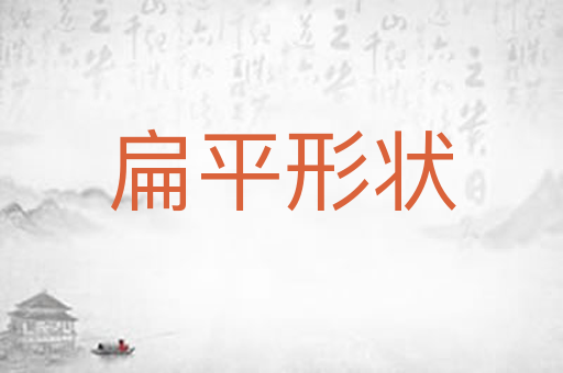 扁平形状