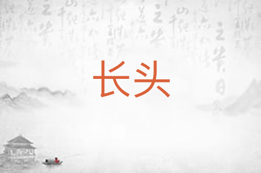 长头