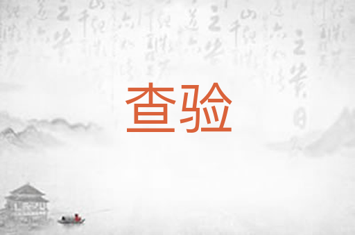 查验