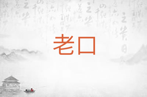 老口