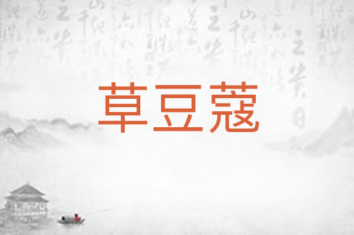 草豆蔻