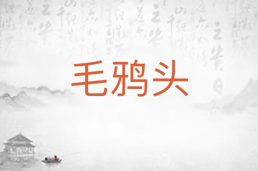 毛鸦头