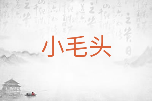 小毛头