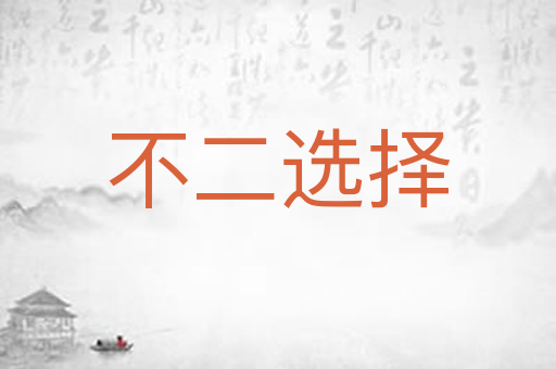 不二选择