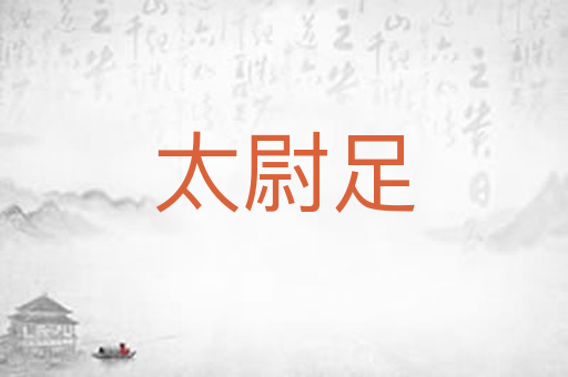 太尉足