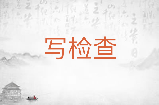 写检查