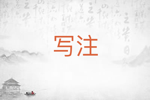 写注
