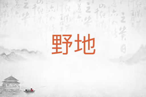 野地