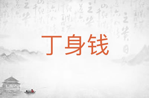 丁身钱