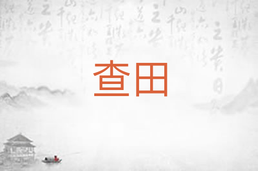 查田
