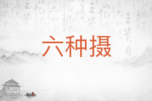 六种摄
