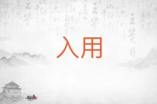 入用