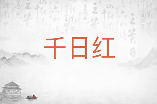 千日红