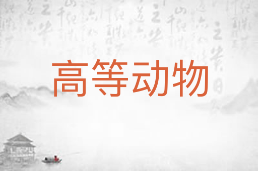 高等动物