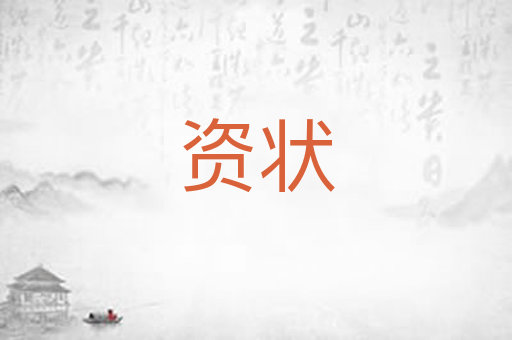 资状