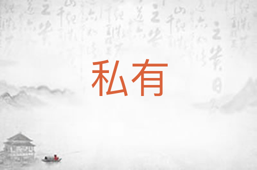私有