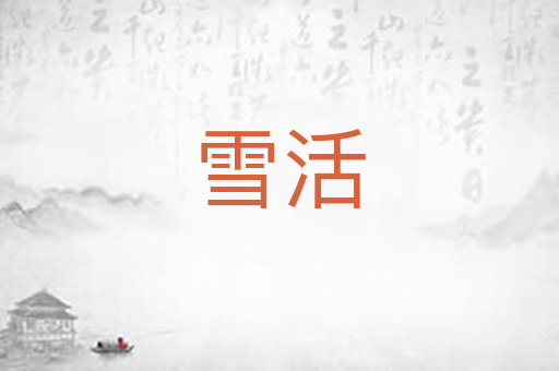 雪活