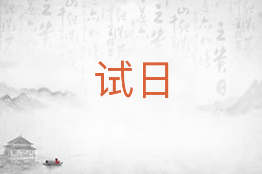 试日