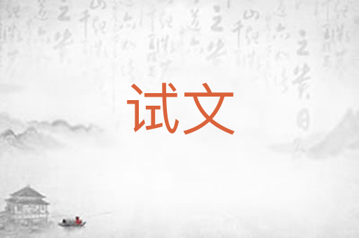 试文