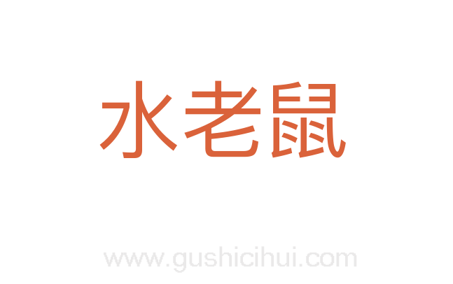 水老鼠