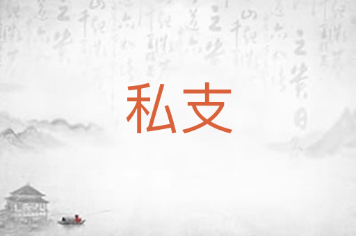 私支
