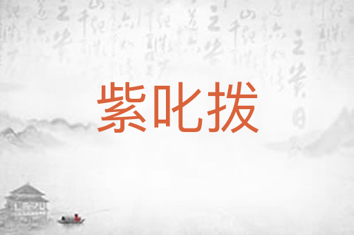 紫叱拨